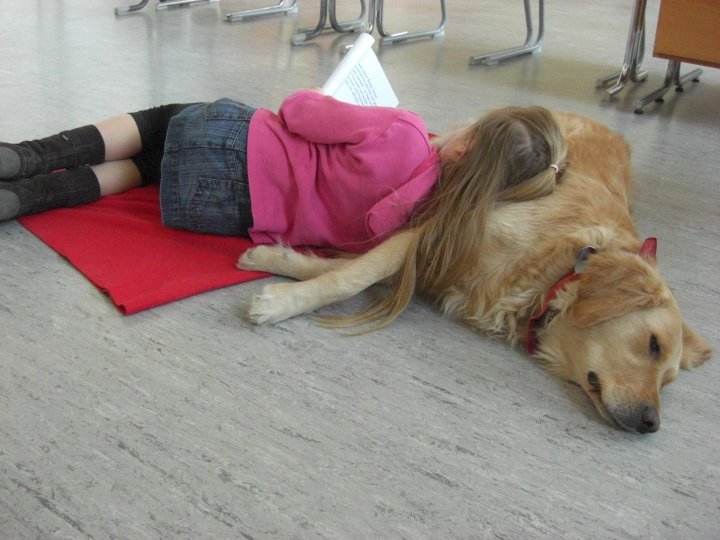 Golden Retriever Tammy mit Kind