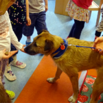 Kita-Besuch mit Besuchshund Diggles